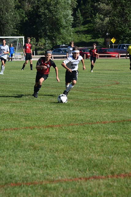 的防守阵地 的防守阵地