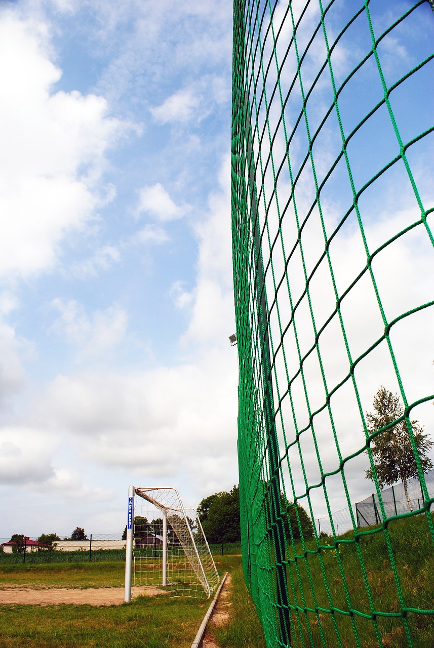 远发展而并 远发展而并