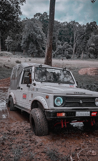 竞争力的同 竞争力的同