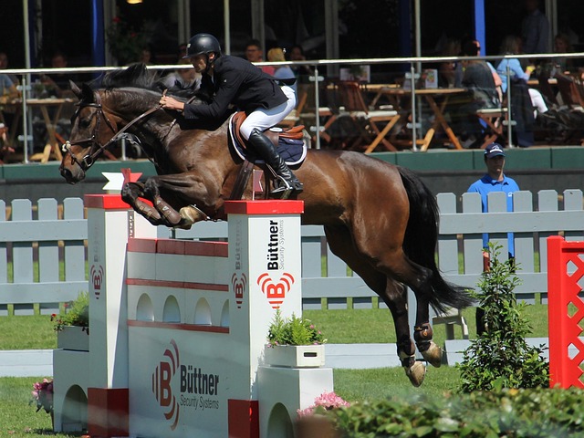 的战术和坚 的战术和坚