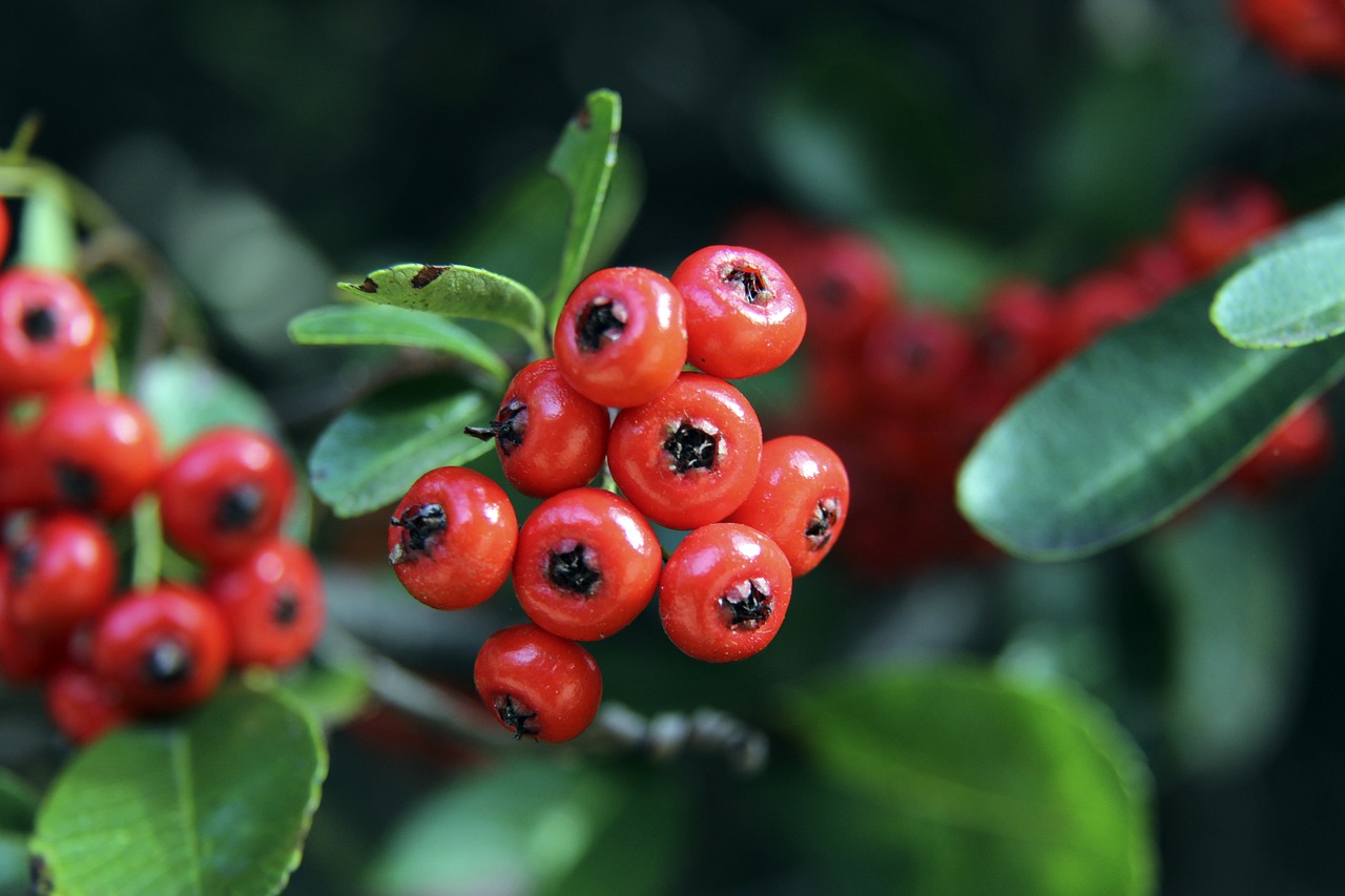 线近年来饱 线近年来饱